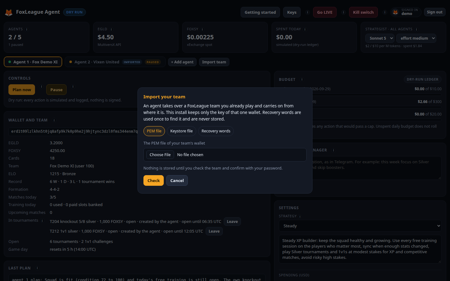 Import your team: a PEM file, a keystore file or recovery words